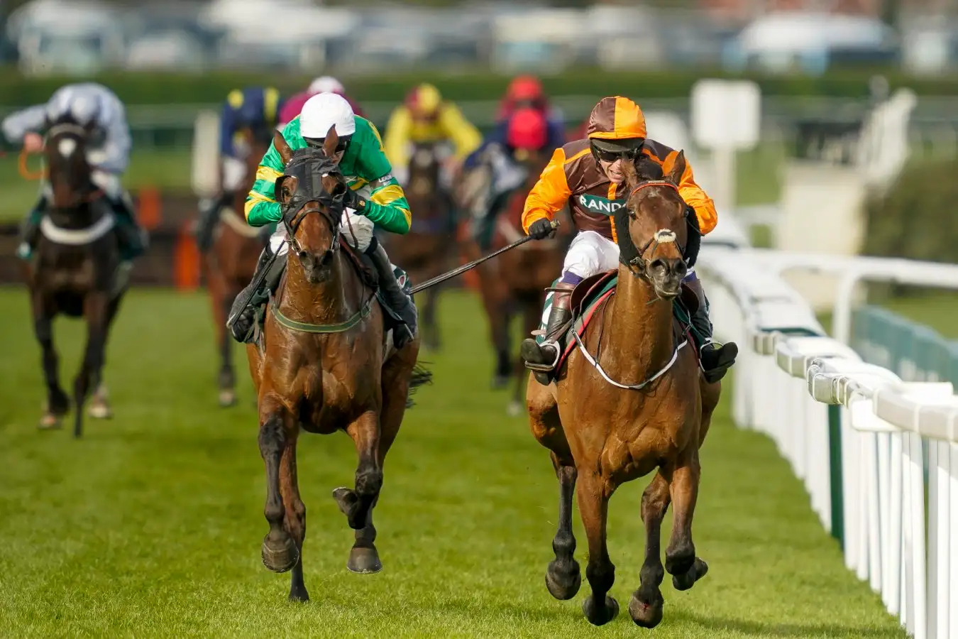 L’acquisition de chevaux de course : questions à se poser pour un investissement réussi